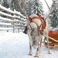 Exeter Airport introduces day trip to iconic Christmas location