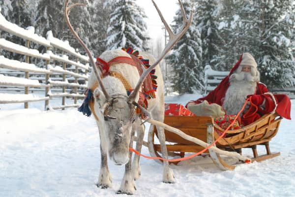 The trip includes a ride on a reindeer sleigh