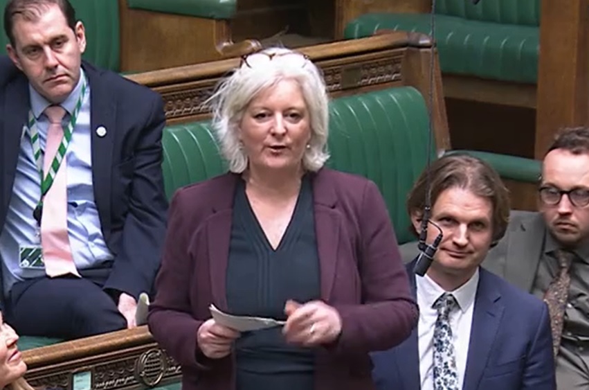 Caroline Voaden: Devon’s councils in limbo as unitary future hangs in ...