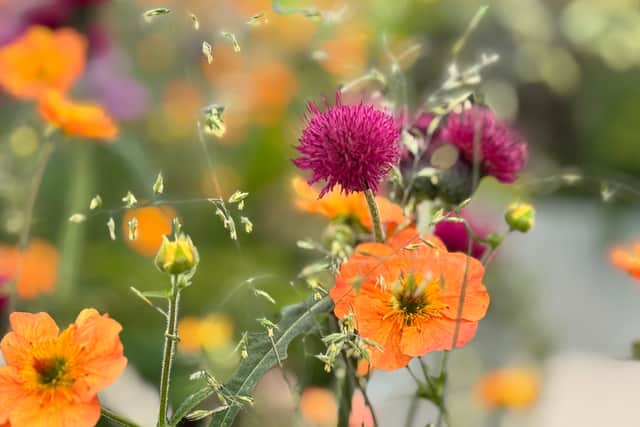 Gardeners Delight Nursery is marking its 35th anniversary this year and the couple says the new technology has helped secure the future of their business.