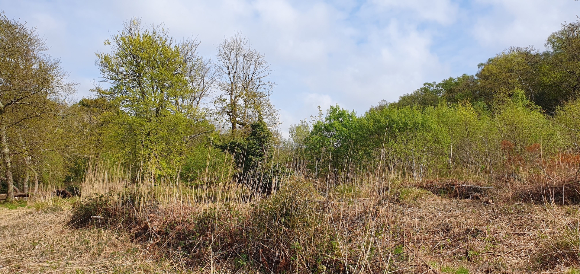Controversial Newton Abbot housing battle escalates with 3-day inquiry ...