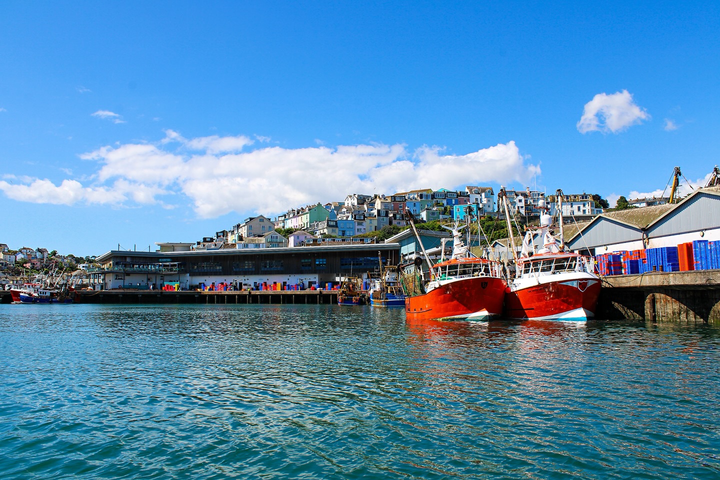 Brixham fish market lands record-breaking £77million worth of fish
