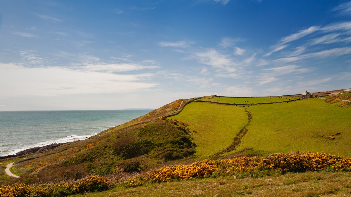 Have your say on plans for giant 'super council' to include North Devon ...