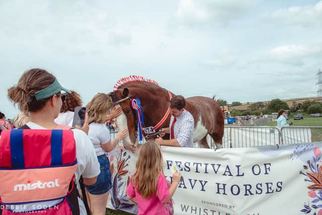 Pictures: North Devon Show dodges the rain by a day as visitors flock ...