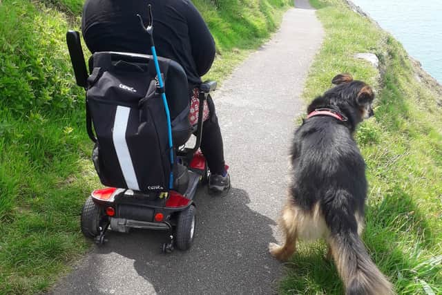 Tribute appeal for beloved North Devon assistance dog who was known to ...