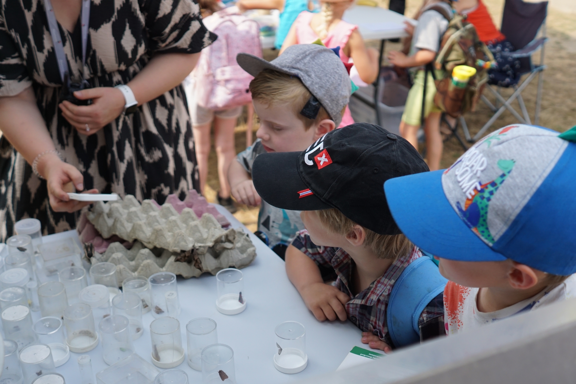 Children looking at moths found during the 2023 BioBlitz