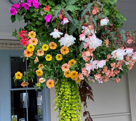 Barnstaple will be bedecked with hanging baskets in floral splendour throughout the summer thanks to a small group of dedicated volunteers who restarted the town’s entry to the annual South West in Bloom competition, part of Britain in Bloom run by the Royal Horticultural Society (RHS).