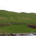 The 200 mown into Capstone Hill. Credit: Gudrun Limbrick