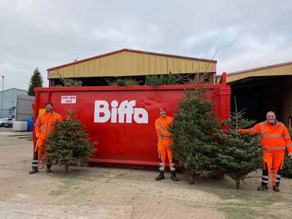 Biffa collecting Christmas Trees in January 2024 - Credit: CHSW