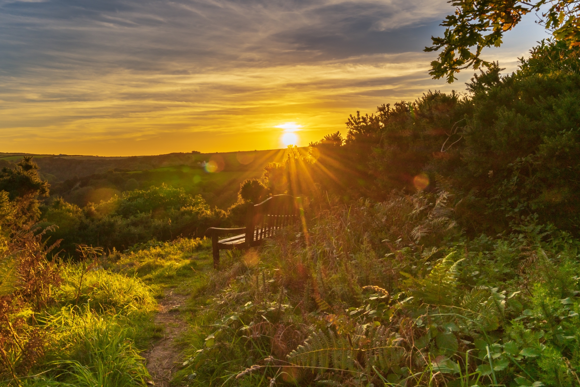 Opinion: The One Northern Devon initiative is important to bring things ...