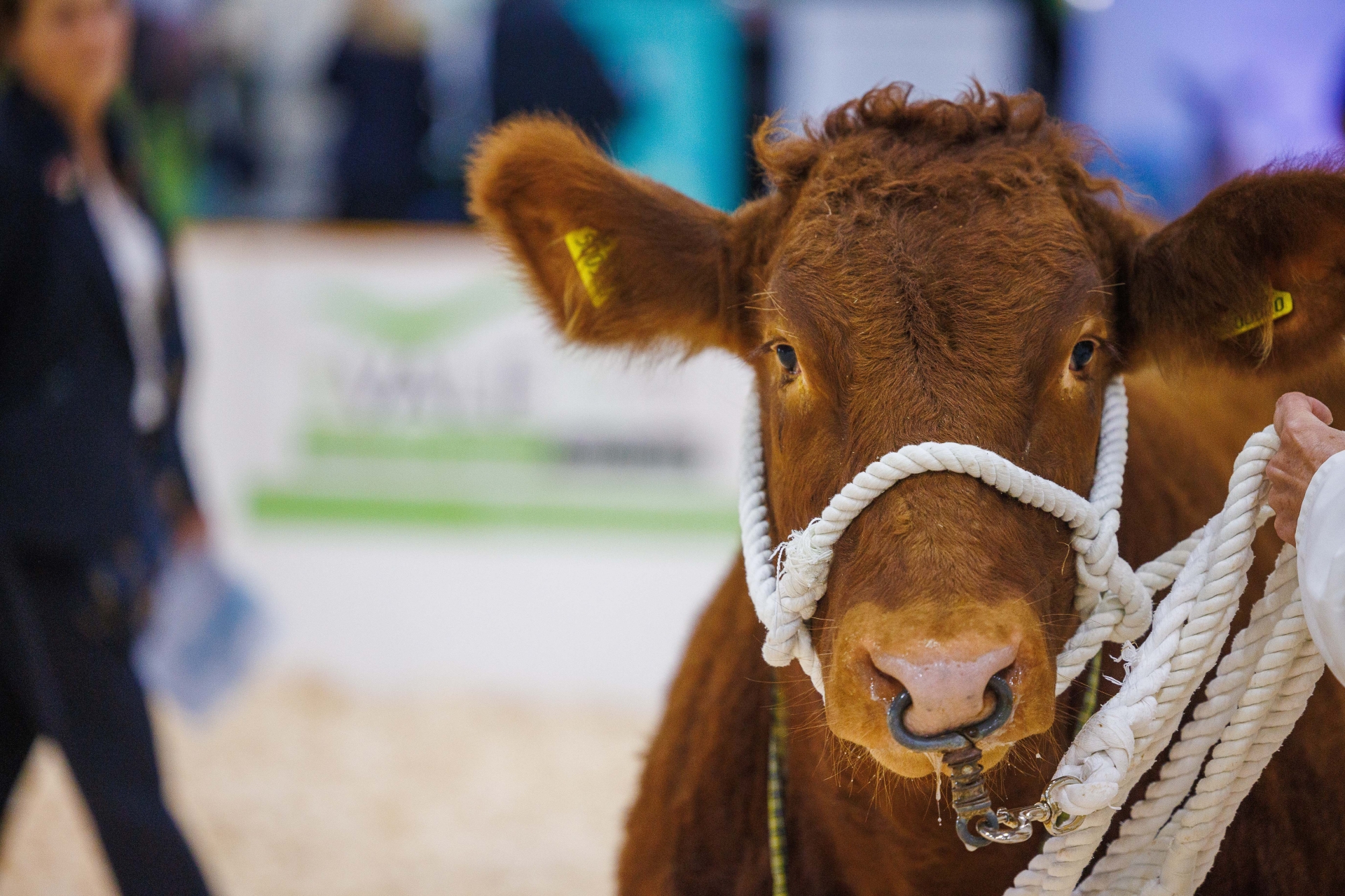 This event is all about bringing farmers together, under one roof