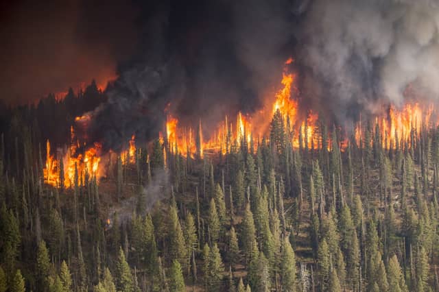 A file image of a wildfire - Credit: PxFuel