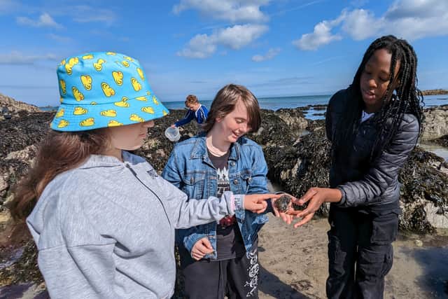 Beyond the term-long programme, students continue being involved with OEA through family-friendly OEA sessions online and in person with the PFND team and local conservation organisations. The OEA is running legacy sessions in the summer holiday and will recommence with school sessions in September.
