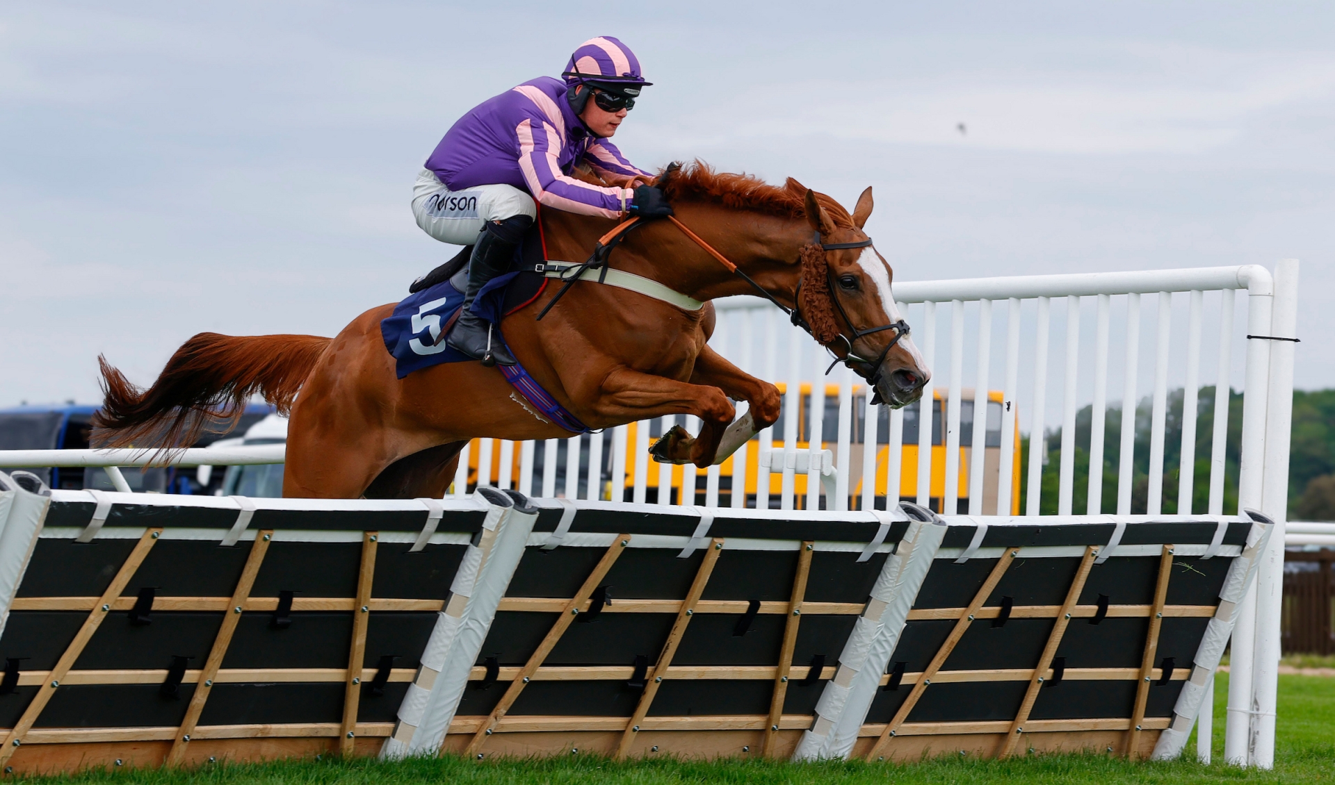 Evening racing returns to Newton Abbot Racecourse with competitive ...