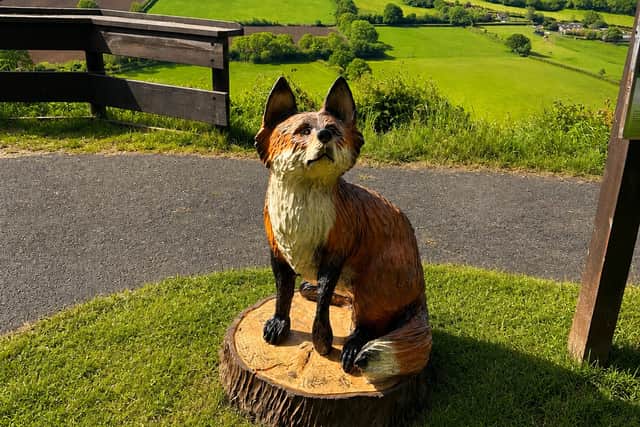 A curious fox is another of the Tarka Comes To Town trail sculptures.