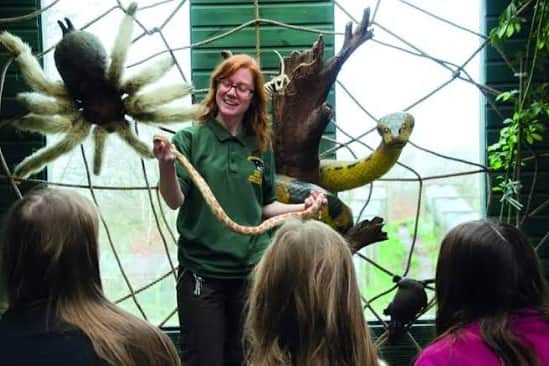 Join Exmoor Zoo for animal encounters at Bideford Fair.