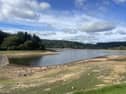 Burrator Reservoir, which serves Dartmoor, is currently at 33 per cent capacity, but other areas are far lower. 