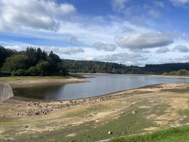 Burrator Reservoir, which serves Dartmoor, is currently at 33 per cent capacity but other areas are far lower. Credit: Ella Sampson