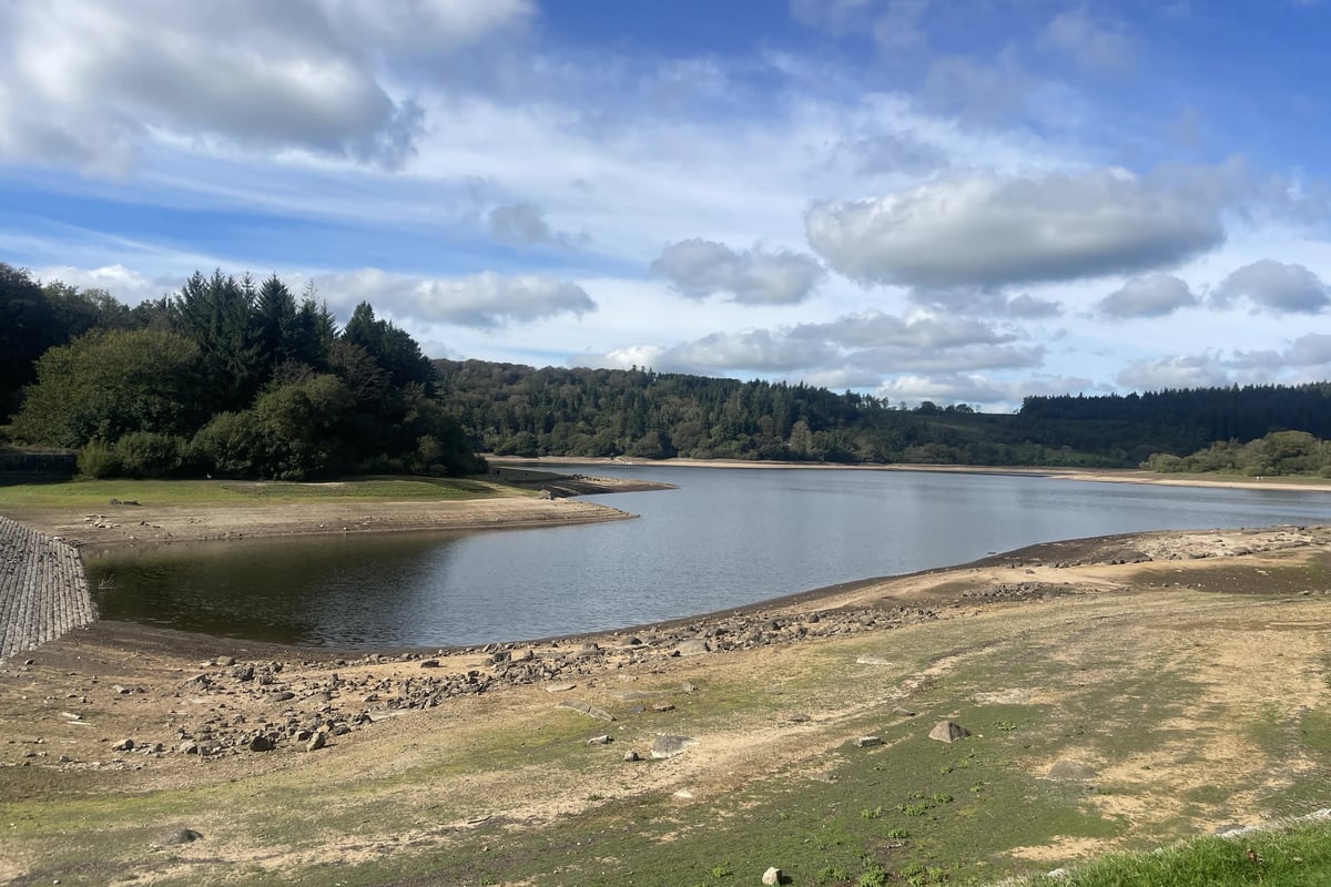 Fire service stops using mains water for training as 'severe' drought continues in Devon and Somerset