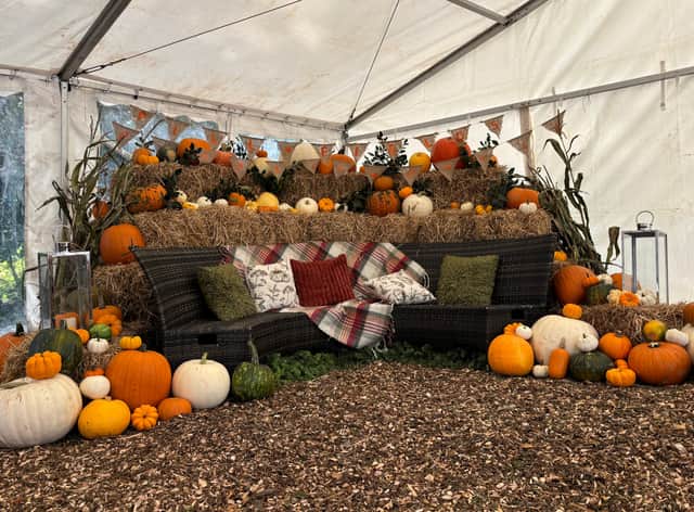 There will be plenty of pumpkins of all shapes and sizes to pick at Pill Fields near Barnstaple from Saturday, October 17.