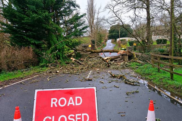 Storm Austen is likely to bring disruption to Devon's road network on Friday with fallen trees, branches and potential floodwater.