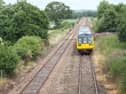 The Tarka Line is currently closed while specialist teams work to remove a large fallen tree on the line near Crediton.
