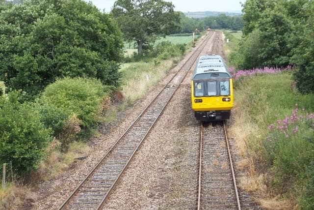 The Tarka Line is currently closed while specialist teams work to remove a large fallen tree on the line near Crediton.