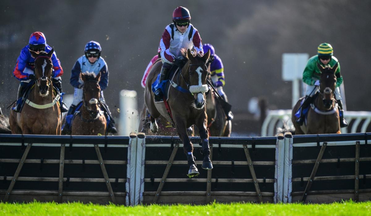 Devon National takes centre stage at Exeter - North Devon Today