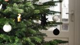 Recycle your tree and support local hospice care this January