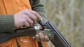 Number of temporary gun licences reduced in Devon