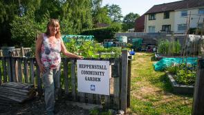 Volunteers creating a unique community space for all to enjoy - North Devon Homes