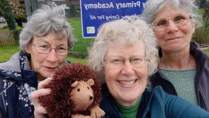 Hedgehogs helping to forge new friendships and connections in Landkey