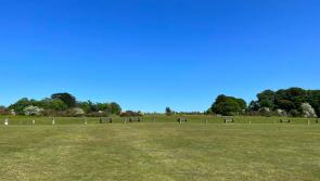 Weekend cricket fixtures in Devon