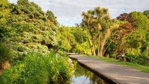 North Devon does the Green Flag double once again