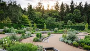 RHS Rosemoor’s Flower Show returns bigger and better than ever