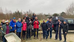 Northam Burrows rangers seek volunteers for late summer and autumn conservation