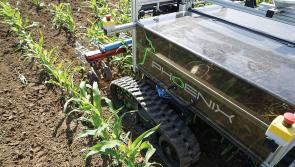 Robotics: Is this part of the future for North Devon's Agricultural Industry? - Tim Jones