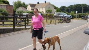 Helping the Dogs Trust to ban electronic shock collars - Selaine Saxby