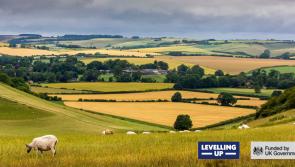 North Devon+ launches Prosperity Fund support schemes