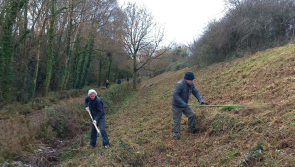 North Devon community invited to Fremington Cuttings volunteer event