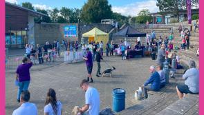 Doggy Summer Fete coming to Affinity Devon