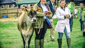 Agricultural shows highlight Torridge's finest produce - Ken James