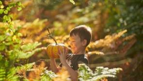 Spooktacular Fun at RHS Rosemoor this October Half Term