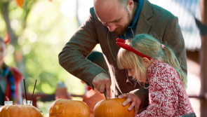 Some 'spooktacular' fun awaits you at Yeo Valley Woodland