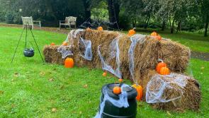 Spooktacular Halloween children’s trail at North Devon Hospice