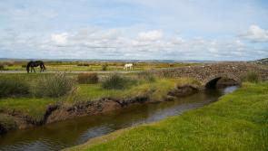 October half term family fun on Northam Burrows