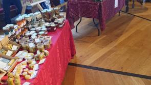 Festive spirit at Woolhanger Winter Fayre in aid of North Devon Hospice