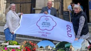 Barnstaple scoops a golden haul for South West in Bloom 2023