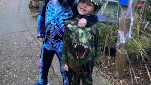 Explore theMagical Halloween Trail at North Devon Hospice this half-term
