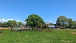 Extra cash approved for new Bideford play area at Victoria Park